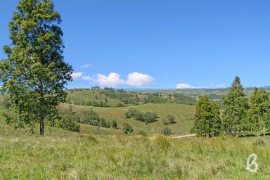 Farm For Sale - NSW - Singleton - 2330 - PICTURESQUE CATTLE COUNTRY | 140 ACRES  (Image 2)