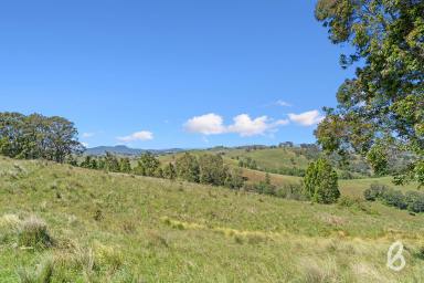 Farm For Sale - NSW - Singleton - 2330 - PICTURESQUE CATTLE COUNTRY | 140 ACRES  (Image 2)