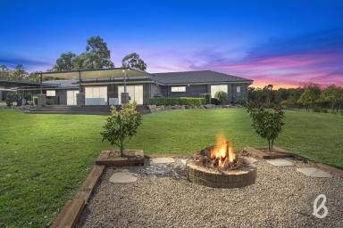 Farm For Sale - NSW - Singleton - 2330 - "KYEWONG" | IMPRESSIVE FAMILY HOME | 139 ACRES  (Image 2)
