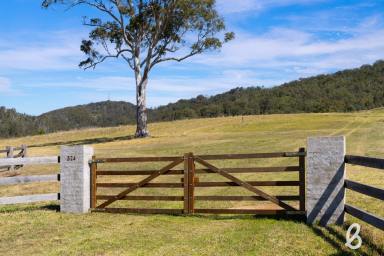 Farm Sold - NSW - Glendon Brook - 2330 - EXCEPTIONAL VIEWS | VACANT 25 ACRES WITH SHED  (Image 2)