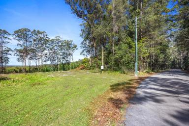 Farm For Sale - QLD - Lake Macdonald - 4563 - Exquisite, elevated land with Pacific Ocean views  (Image 2)