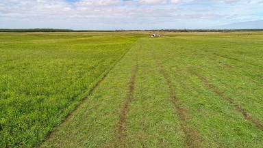 Farm For Sale - SA - Kongorong - 5291 - VERSATILE IRRIGATED GRAZING & DAIRY OPPORTUNITY  (Image 2)
