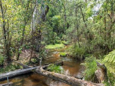 Farm For Sale - VIC - Yellingbo - 3139 - HIGHLY SOUGHT YARRA VALLEY OFFERING  (Image 2)