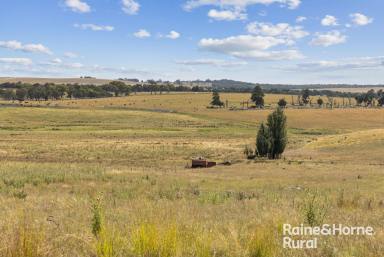 Farm For Sale - NSW - Boorowa - 2586 - "Whenebah"  (Image 2)