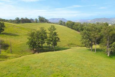 Farm For Sale - NSW - Clarence Town - 2321 - Private, Picturesque Paddock With Potential  (Image 2)