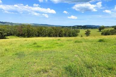 Farm Sold - NSW - Clarence Town - 2321 - Private, Picturesque Paddock With Potential  (Image 2)