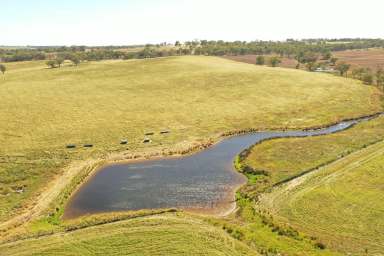 Farm For Sale - NSW - Young - 2594 - The Perfect Blank Canvas  (Image 2)