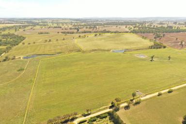 Farm For Sale - NSW - Young - 2594 - The Perfect Blank Canvas  (Image 2)