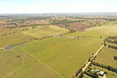 Farm For Sale - NSW - Young - 2594 - The Perfect Blank Canvas  (Image 2)