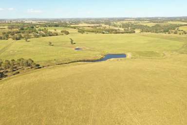 Farm For Sale - NSW - Young - 2594 - The Perfect Blank Canvas  (Image 2)