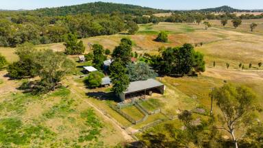 Farm For Sale - NSW - Walbundrie - 2642 - 50ac, country style residence  (Image 2)