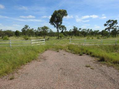 Farm For Sale - QLD - Broughton - 4820 - 49 Acre Freehold Land with extras  (Image 2)