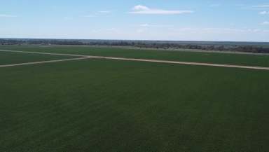 Farm Sold - NSW - Warren - 2824 - Irrigation Property With Water  (Image 2)