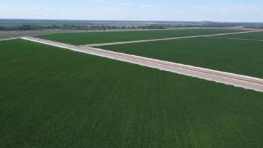 Farm Tender - NSW - Warren - 2824 - Irrigation Property With Water  (Image 2)