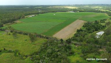 Farm For Sale - QLD - North Isis - 4660 - 55Ha Generational Farm With 172 Meg Water Allocation  (Image 2)