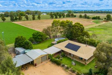 Farm For Sale - NSW - Cowra - 2794 - FAMILY HOME ON 10AC, 5MINS FROM TOWN!  (Image 2)
