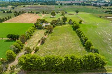 Farm Sold - NSW - Cowra - 2794 - FAMILY HOME ON 10AC, 5MINS FROM TOWN!  (Image 2)