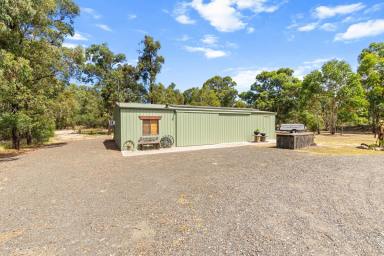 Farm For Sale - VIC - Seaton - 3858 - The Perfect Getaway... Home Away From Home  (Image 2)