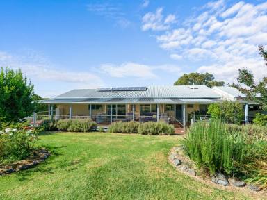 Farm For Sale - VIC - Wiseleigh - 3885 - VIEWS FOREVER  (Image 2)