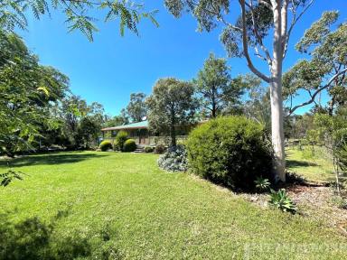 Farm For Sale - QLD - Dalby - 4405 - "KOORINGA" - "99 ACRES WITH TWO HOMES"  (Image 2)