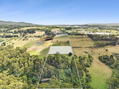 Farm For Sale - VIC - Silvan - 3795 - Introducing Your Dream Rural Retreat  (Image 2)