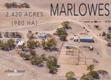 Farm For Sale - SA - Chandada - 5680 - MARLOWES  (Image 2)