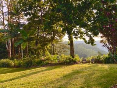 Farm For Sale - QLD - Booroobin - 4552 - MAGNIFICENT VIEWS FROM ONE OF THE HIGHEST POINTS IN THE COASTAL HINTERLAND RANGES  (Image 2)