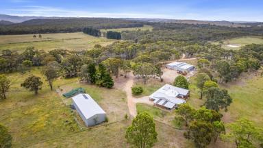 Farm For Sale - NSW - Running Stream - 2850 - The Gullies - Luxurious Estate Atop 1000m Above Sea Level.  (Image 2)