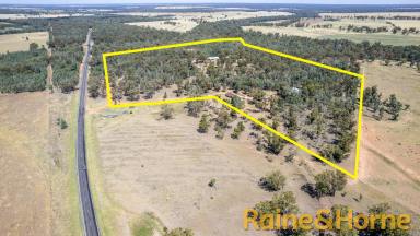 Farm For Sale - NSW - Gilgandra - 2827 - Opportunity and potential awaits!  (Image 2)