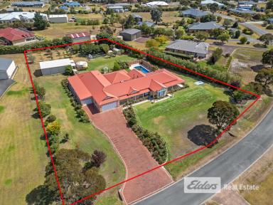 Farm For Sale - WA - Warrenup - 6330 - Epic Lifestyle Property for Large Families or Inter-Generational Living  (Image 2)