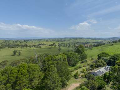 Farm Sold - NSW - Bega - 2550 - ULTIMATE PRIVACY ONLY A SHORT DISTANCE TO BEGA  (Image 2)