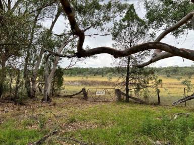 Farm Sold - NSW - Obley - 2868 - Welcome to 'Woodsville'! 
Escape to the serene beauty of rural Obley,  with 'Woodsville' – your slice of countryside paradise, only 50km from Dubbo.  (Image 2)