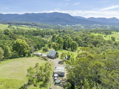 Farm For Sale - NSW - Bemboka - 2550 - COMPLETE OFF-GRID LIVING  (Image 2)