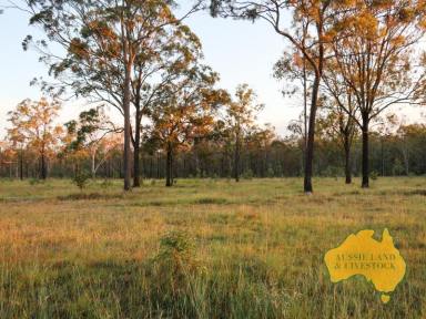 Farm For Sale - QLD - Maidenwell - 4615 - Blank canvas on the outskirts of Maidenwell  (Image 2)