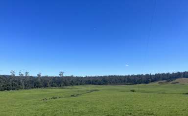 Farm For Sale - TAS - Forester - 7260 - Forester Grazing  (Image 2)