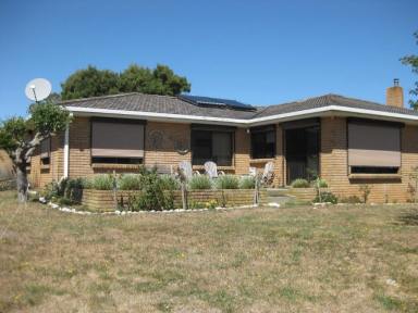 Farm For Sale - TAS - Forester - 7260 - Forester Grazing  (Image 2)