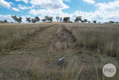 Farm For Sale - NSW - Tamworth - 2340 - Rare 100 Acre Offering - All Reasonable Offers Will Be Considered  (Image 2)