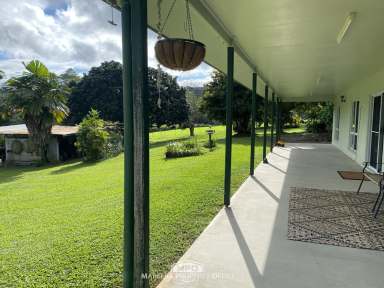 Farm For Sale - QLD - Julatten - 4871 - ELEVATED LIVING IN PICTURESQUE JULATTEN  (Image 2)