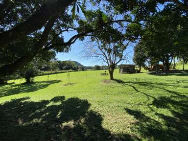 Farm For Sale - QLD - Julatten - 4871 - ELEVATED LIVING IN PICTURESQUE JULATTEN  (Image 2)