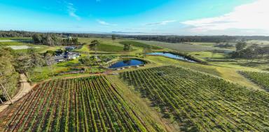 Farm Expressions of Interest - New South Wales - Pokolbin region - 2335 - RIDGEVIEW ESTATE: HUNTER VALLEY WINERY-CELLAR DOOR, RESTAURANT, ACCOMM & TOURISM  (Image 2)