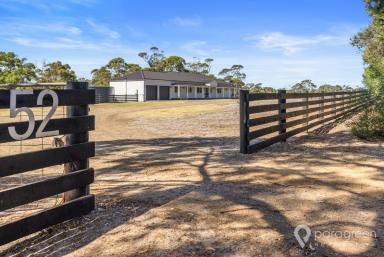 Farm For Sale - VIC - Port Albert - 3971 - MAGNIFICENT COUNTRY HOME  (Image 2)
