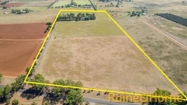 Farm For Sale - NSW - Dubbo - 2830 - The Perfect Lifestyle!  (Image 2)