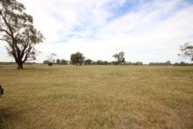 Farm For Sale - VIC - Stanhope - 3623 - 40-ACRES ON STANHOPE TOWNS EDGE  (Image 2)