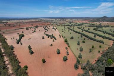 Farm For Sale - NSW - Gunnedah - 2380 - PRODUCTIVE MIXED ARABLE AND GRAZING PROPERTY  (Image 2)