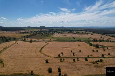 Farm For Sale - NSW - Gunnedah - 2380 - PRODUCTIVE MIXED ARABLE AND GRAZING PROPERTY  (Image 2)