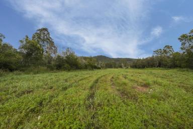 Farm Sold - NSW - Pillar Valley - 2462 - Just 15 Minutes to the Waves - Your Future Rural Dream Awaits  (Image 2)