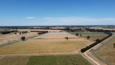Farm Sold - VIC - Marungi - 3634 - Quality Farm with Top Infrastructure  (Image 2)