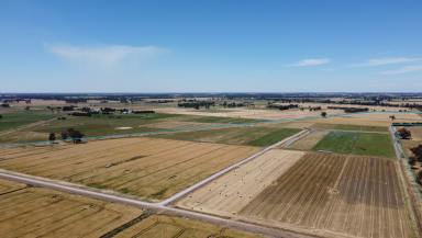 Farm Sold - VIC - Marungi - 3634 - Quality Farm with Top Infrastructure  (Image 2)