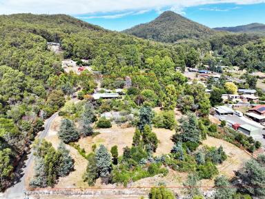 Farm For Sale - TAS - Penguin - 7316 - Within Town Boundaries - A Couple of K's from the Coast - Bush Seclusion  (Image 2)