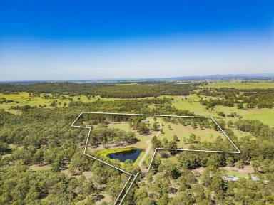 Farm For Sale - NSW - Duns Creek - 2321 - Hobby Farm with Massive Water Storage!  (Image 2)